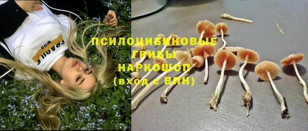 MESCALINE Лиски
